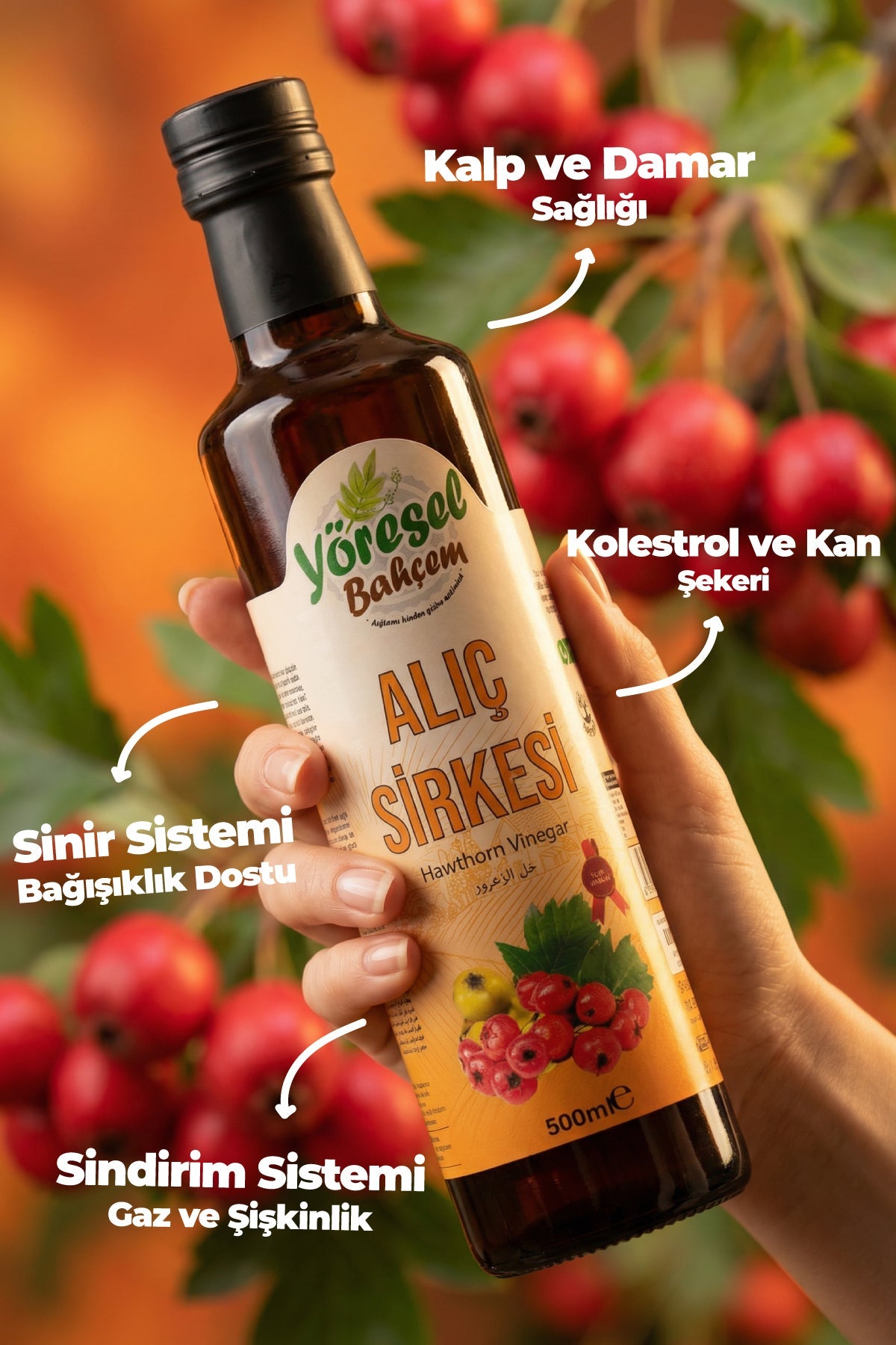 Alıç Sirkesi Nedir? Faydaları, Kullanımı ve Tüm Detaylar Yöreselbahcem.com