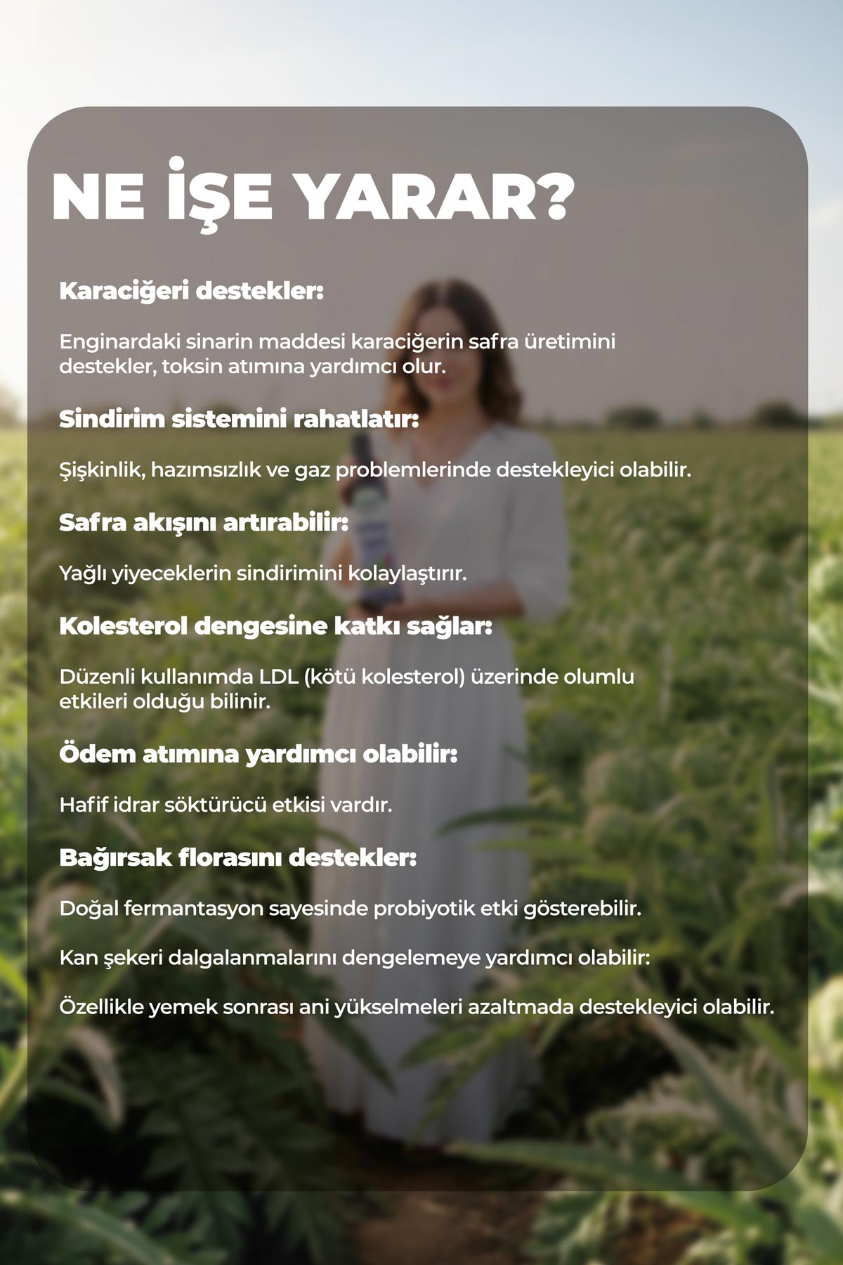 Enginar Sirkesi 500ml - Karaciğer ve Sindirim Dostu - Yöresel Bahçem