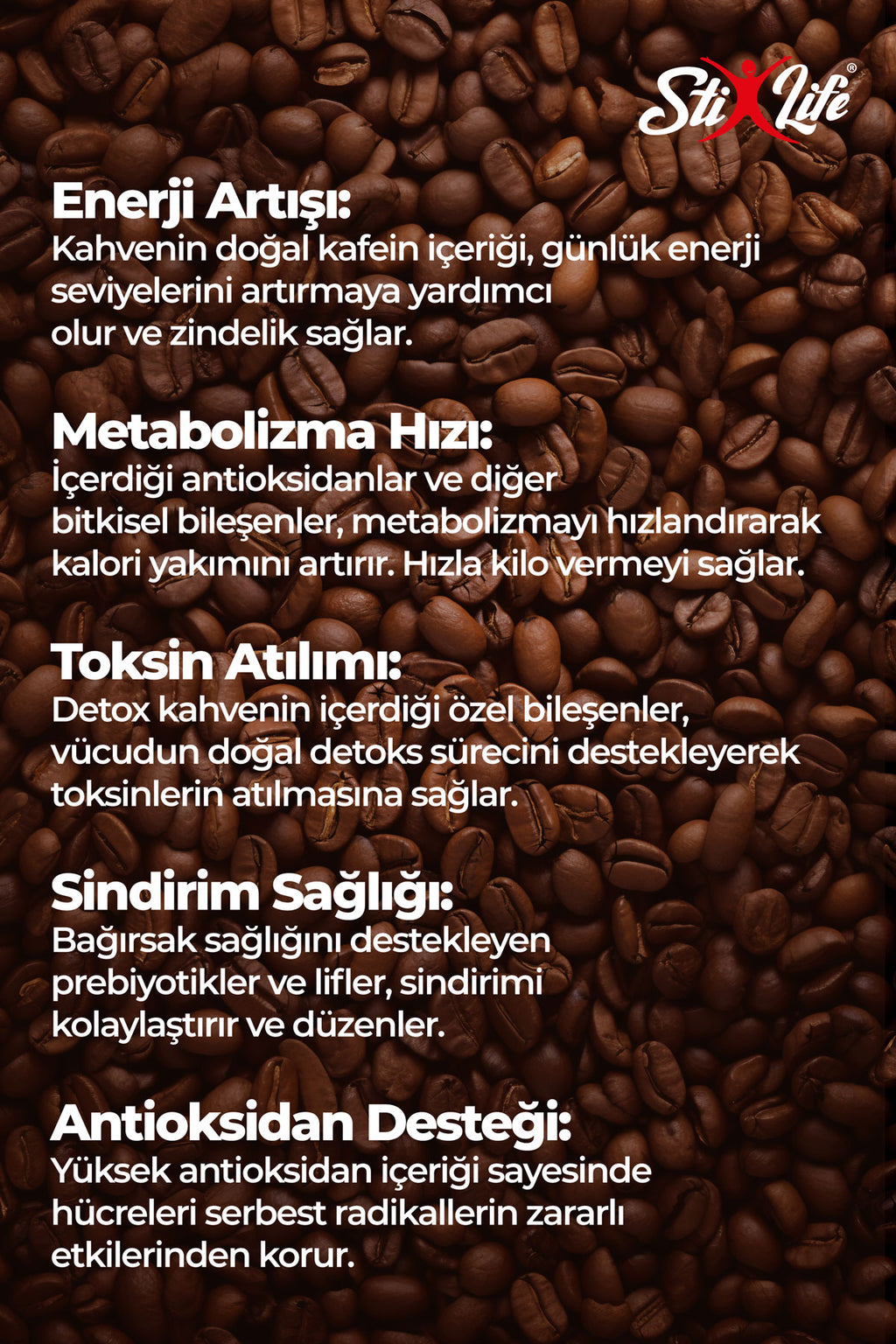 Stixlife hindiba L-carnitine lepidyum detoks kahvesi 30 günlük kullanım bitkisel zayıflama kahvesi